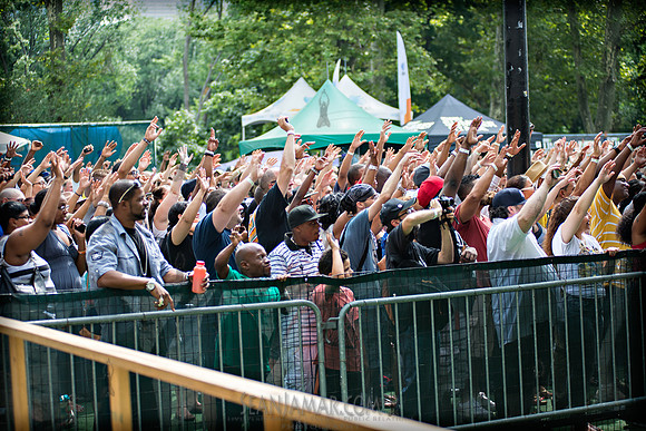 Rock Steady Crew 36 Year Anniversary Concert - Rumsey Playfield
