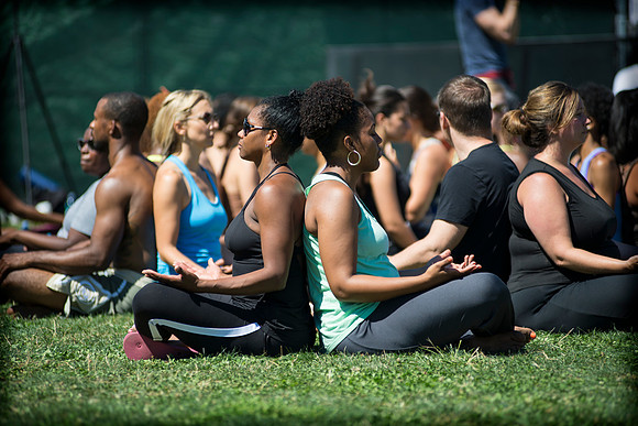 Afropunk Festival - Commodore Barry Park - BK USA - 2013
