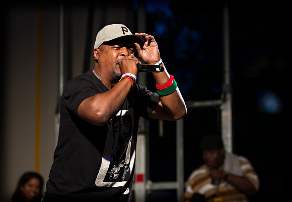 Chuck D - Afropunk Festival - Commodore Barry Park - BK USA - 20