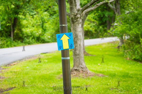 Go The Distance For Autism - Bergen Community College - Paramus