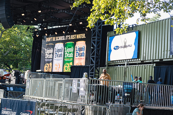 CPF SummerStage - VP Recprds 45th Anniversary - Rumsey Playfield