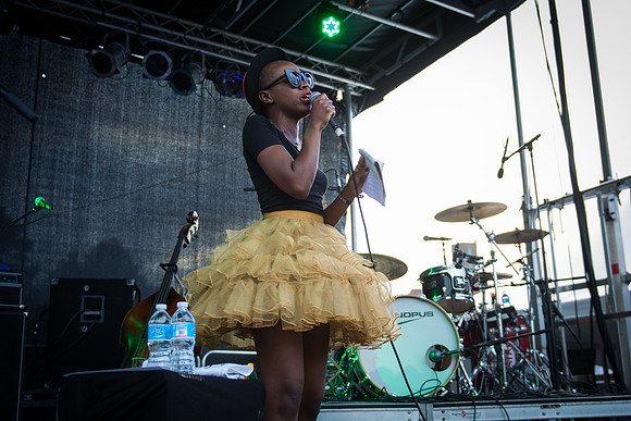 Afropunk Festival - Commodore Barry Park - BK USA - 2014