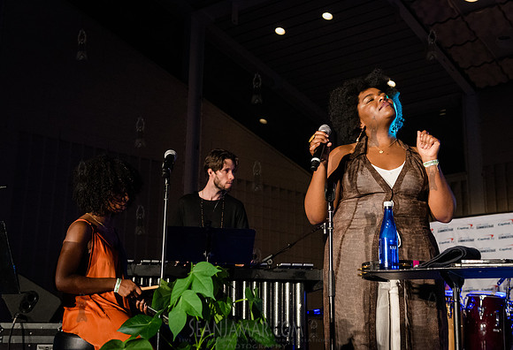 NYC SummerStage - Terri Lyne Carrington We Insist 2025! - Marcus