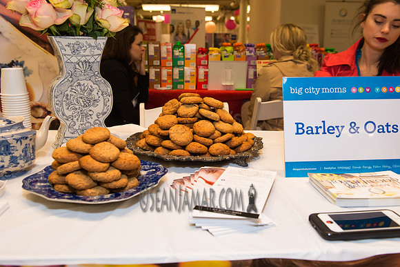 Big City Moms - Metropolitan Pavilion - NYC - 2016