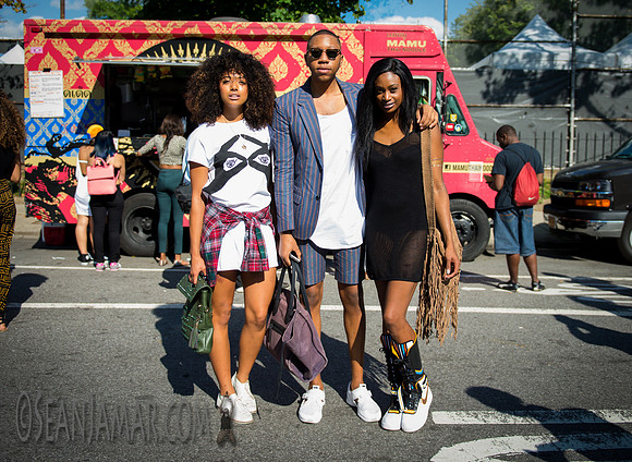 Afropunk Festival - Commodore Barry Park - BK USA - 2014