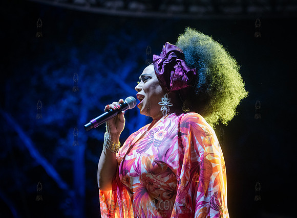 Aymee Nuviola - NYC SummerStage - Celia Cruz Celebration - Rumse