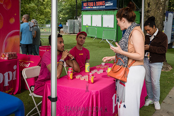 CPF SummerStage - Alcione + Larissa Luz - Rumsey Playfield - NYC