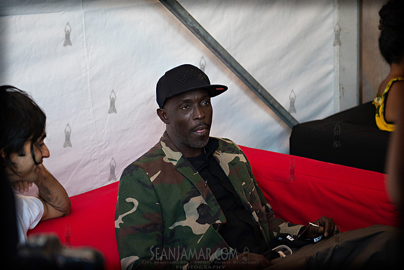 Afropunk Festival - Commodore Barry Park - BK USA - 2013