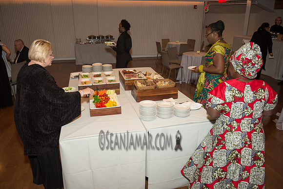 Zimele USA 6th Annual Gala - Maritime Parc - Jersey City NJ - 2017