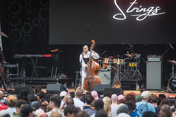 Aneesa Strings - CPF SummerStage - Yussef Dayes - Rumsey Playfie