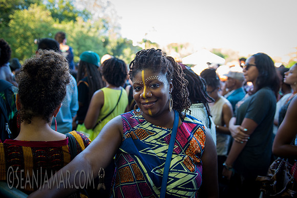 Afropunk Festival - Commodore Barry Park - BK USA - 2014