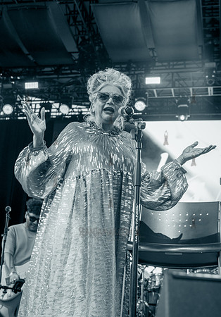 Asha Puthli - NYC SummerStage - Cymande - Rumsey Playfield - NYC