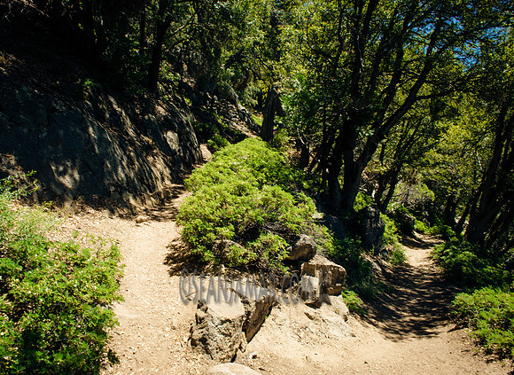 Adventure Day - Chilnualna Falls Hike - Yosemite National Park - Wawona CA - 2017