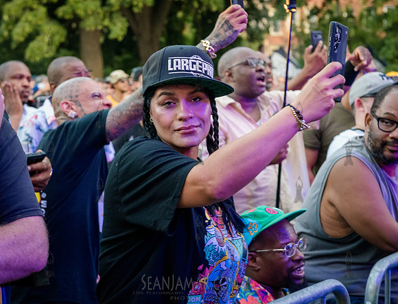 NYC SummerStage - Fat Beats 30th Anniversary - Herbert Von King