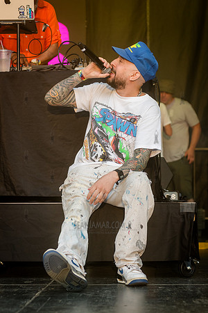 Natural Elements - NYC SummerStage - Fat Beats 30th Anniversary