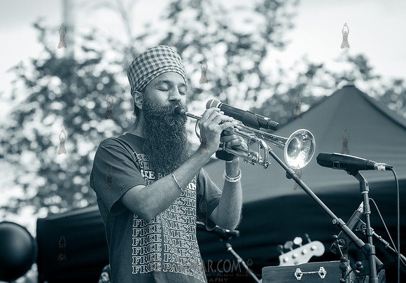 Sonny Singh - NYC SummerStage - DJ Rekha Basement Bhangra - Flus