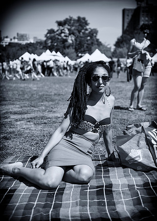 Afropunk Festival - Commodore Barry Park - BK USA - 2013