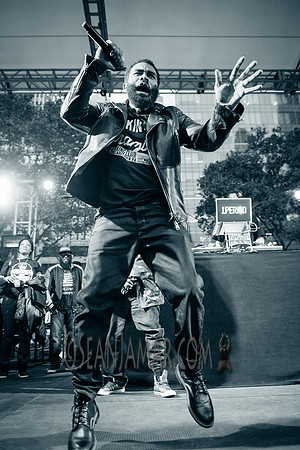 Black Thoughts Live Mixtape w/ Pharoah Monch - Roots Picnic - Bryant Park - NYC - 2016