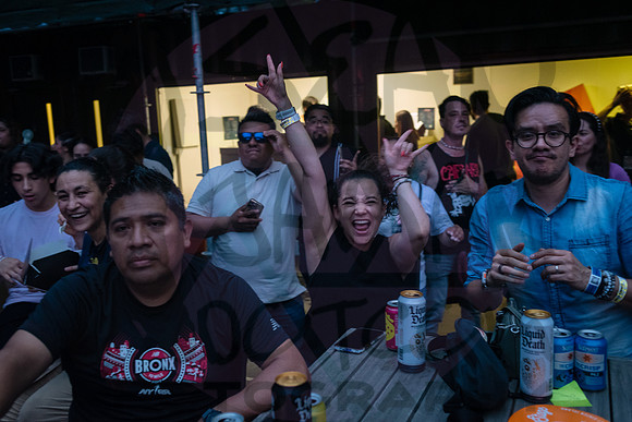 CPF SummerStage - Caifanes + Cafe Tacvba - Rumsey Playfield - NY