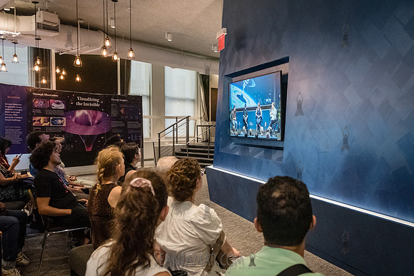 Simons Foundation Presents - Science, Illustrated - Simons Found