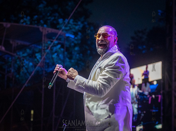 Alain Perez - NYC SummerStage - Celia Cruz Celebration - Rumsey