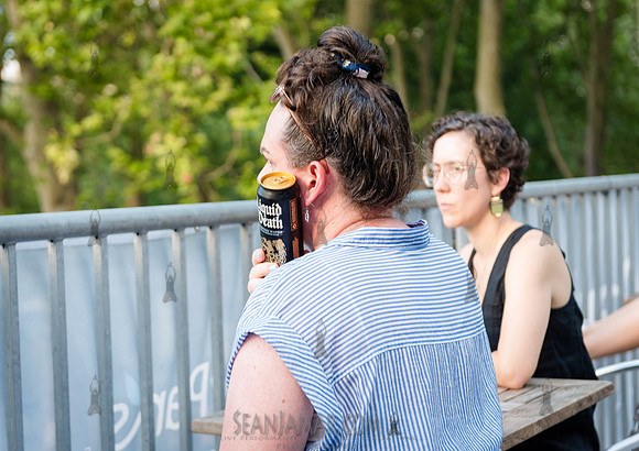 NYC SummerStage - Rhianon Giddens - Rumsey Playfield - NYC - 202