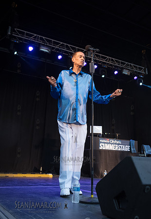 2019-07-06 NYC SummerStage - Ralph McDaniels Soul and Funk Jam - Springfield Park - NYC-117.jpg