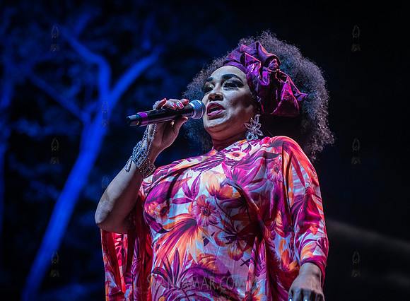 Aymee Nuviola - NYC SummerStage - Celia Cruz Celebration - Rumse