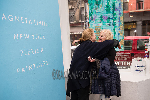 Agneta Livijn - Ward Nasse Gallery - SoHo NYC - 2017