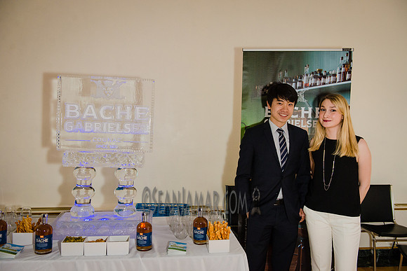 France Rocks Summerfest Opening Soirée - The French Embassy - NYC - 2016