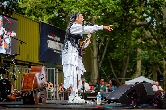 Aneesa Strings - CPF SummerStage - Yussef Dayes - Rumsey Playfie
