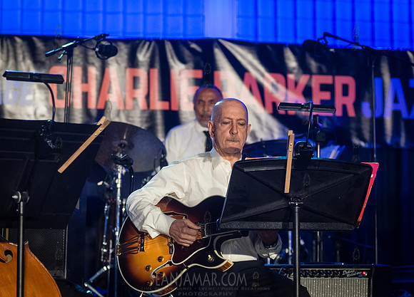 NYC SummerStage - Charlie Parker Jazz Festival - Ron Carter - Ma