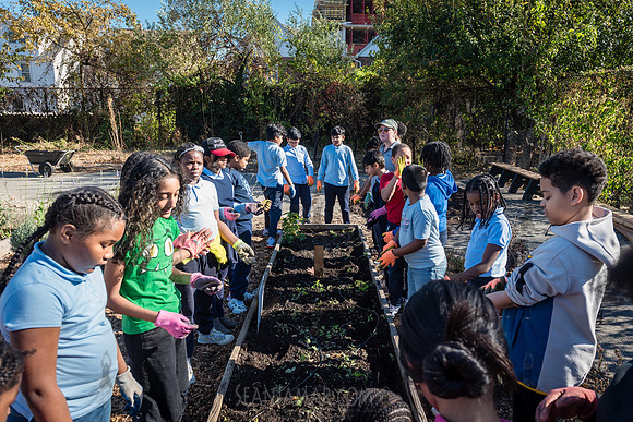 CPF Learn - Learning Gardens Liberty Learning Garden - NYC - 202