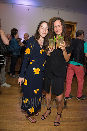 France Rocks Summerfest Opening Soirée - The French Embassy - NYC - 2016