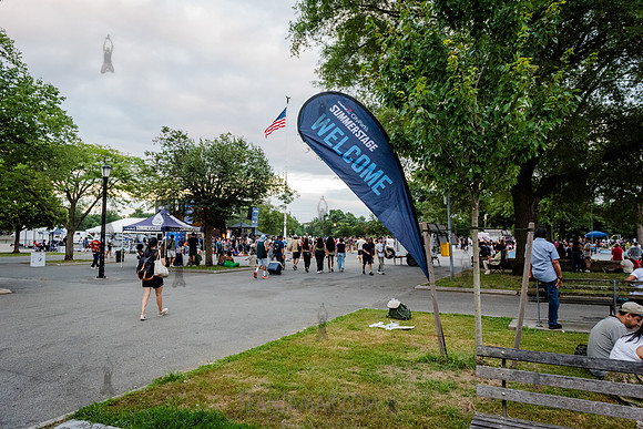 NYC SummerStage - DJ Rekha Basement Bhangra - Flushing Meadows P