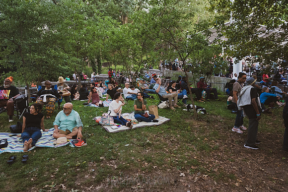 NYC SummerStage - Charlie Parker Jazz Festival - Ron Carter - Ma
