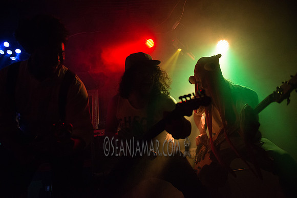 2015-08-28 Water Seed - Fontanas - NYC-6082