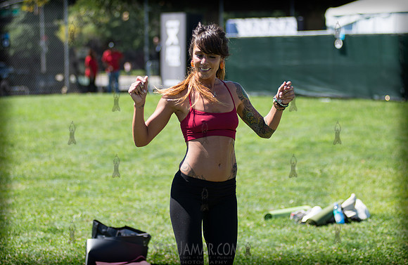 Afropunk Festival - Commodore Barry Park - BK USA - 2013