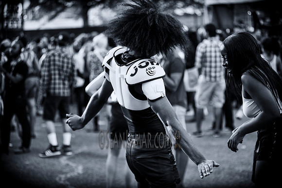 Afropunk Festival - Commodore Barry Park - BK USA - 2013