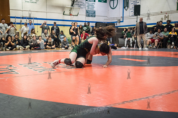PSAL Girls Individual Championships - Harry S Truman HS - NYC -