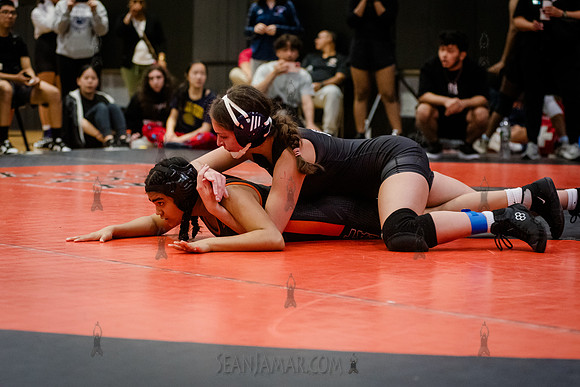 PSAL Girls Individual Championships - Harry S Truman HS - NYC -