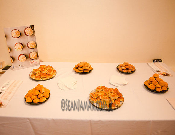 France Rocks Summerfest Opening Soirée - The French Embassy - NYC - 2016
