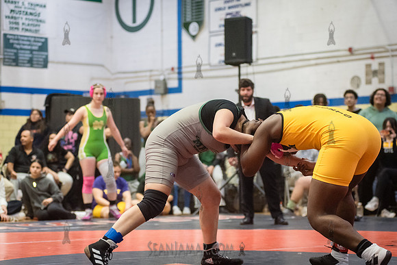 PSAL Girls Individual Championships - Harry S Truman HS - NYC -