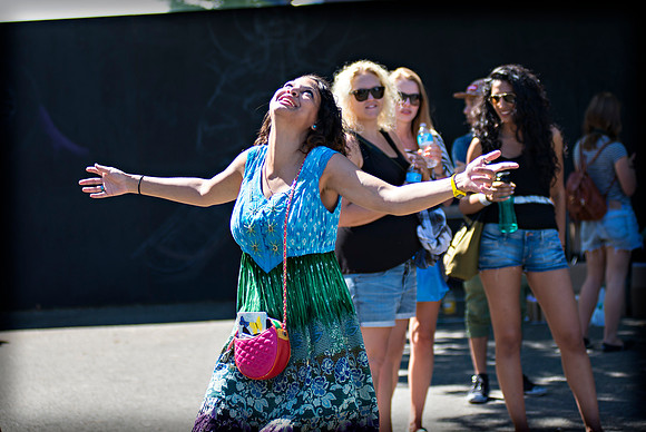 Afropunk Festival - Commodore Barry Park - BK USA - 2013