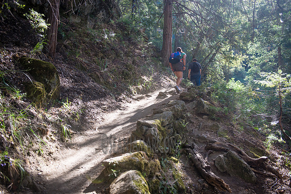 Adventure Day - Chilnualna Falls Hike - Yosemite National Park - Wawona CA - 2017