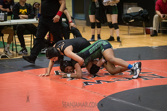 PSAL Girls Individual Championships - Harry S Truman HS - NYC -
