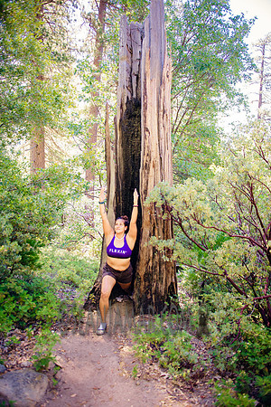 Adventure Day - Chilnualna Falls Hike - Yosemite National Park - Wawona CA - 2017