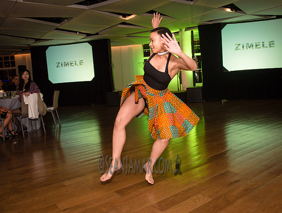 Zimele USA 6th Annual Gala - Maritime Parc - Jersey City NJ - 2017