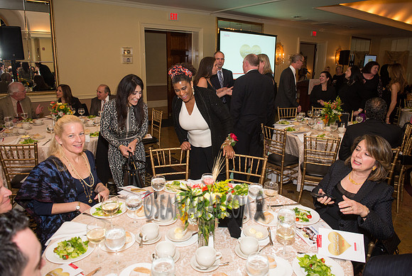 Bergen Volunteer Center - Hearts of Gold Dinner and Auction - The Stony Hill Inn - Hackensack NJ - 2017