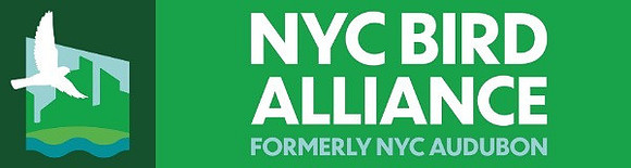 New name email header NYC Bird Alliance - 1